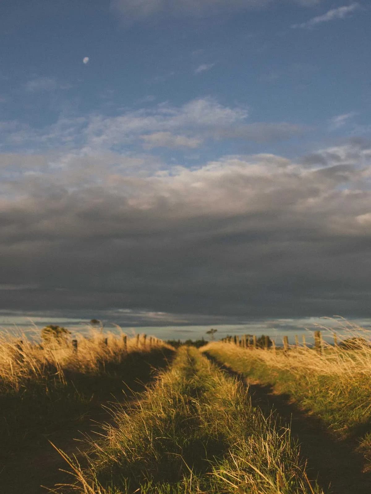 Grassy farm track under a cloudy evening sky