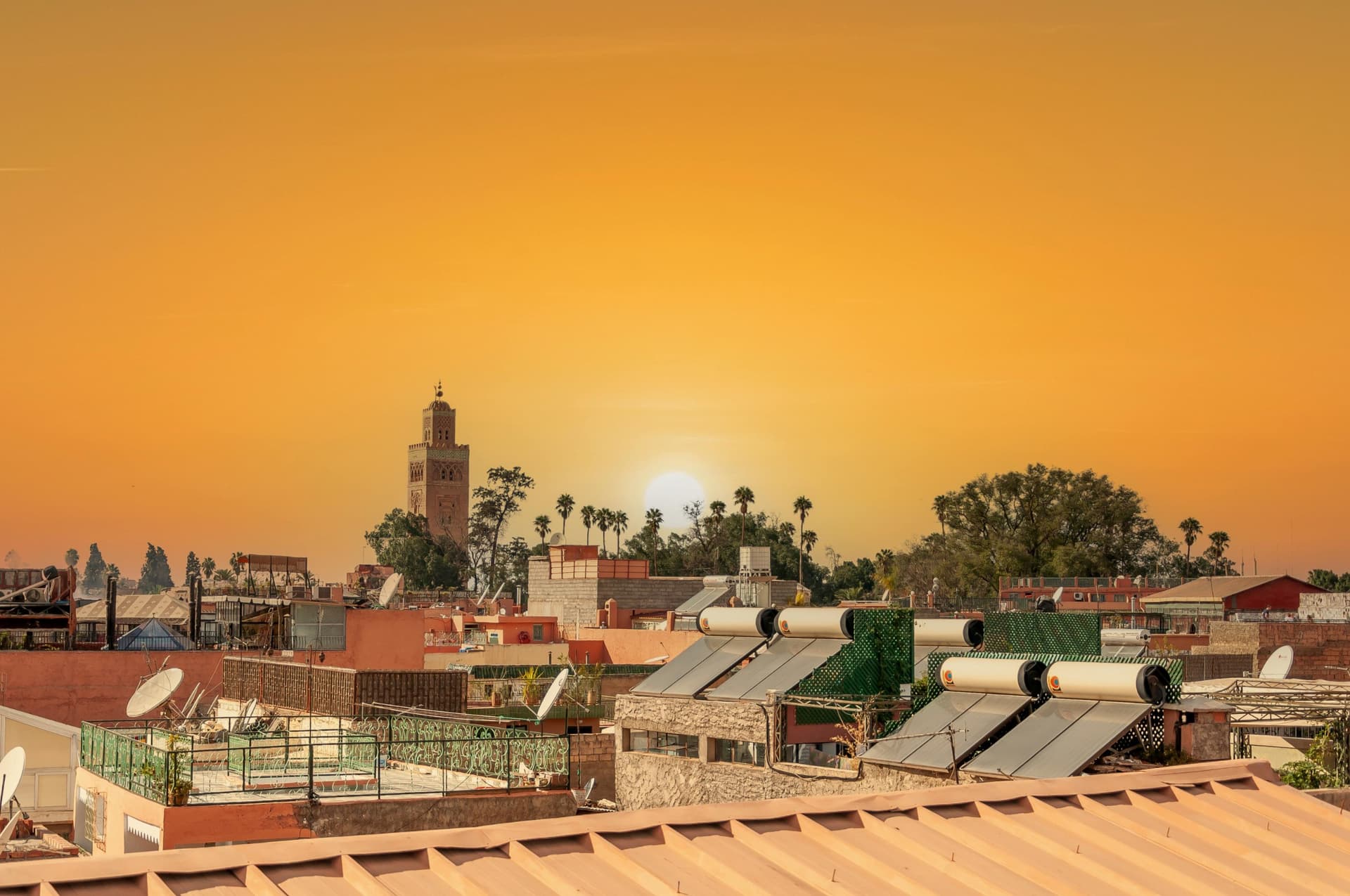 Executive Morocco Journey